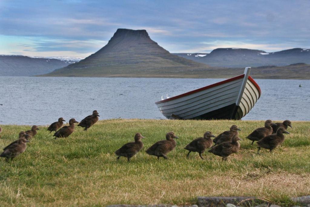 Hotel Isafjordur - Horn Buitenkant foto